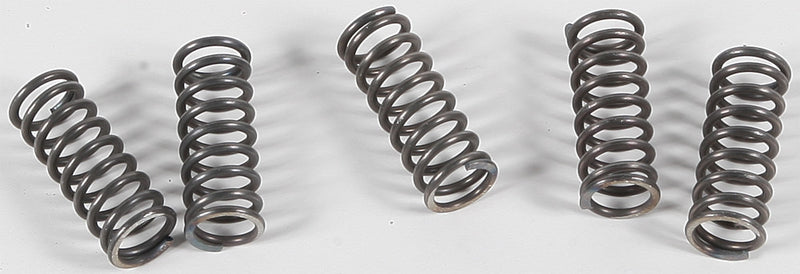 EBC Clutch Springs - CSK70 Honda CBR1100XX Blackbird / CBR1100XX Super Blackbird 1997-1998