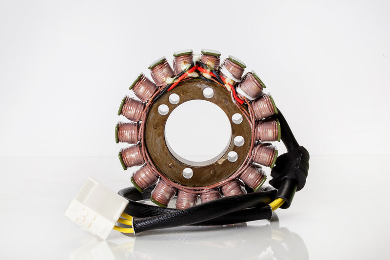 Rick's Motorsport Electric 27-21417 21-417 STATOR