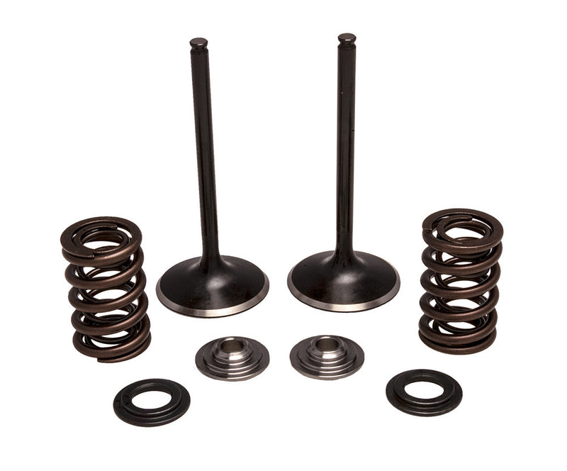Kpmi Intake Valve Spring Kit Stainless Steel - 30-33200 Honda TRX450R / TRX450R Sportrax 2004-2005