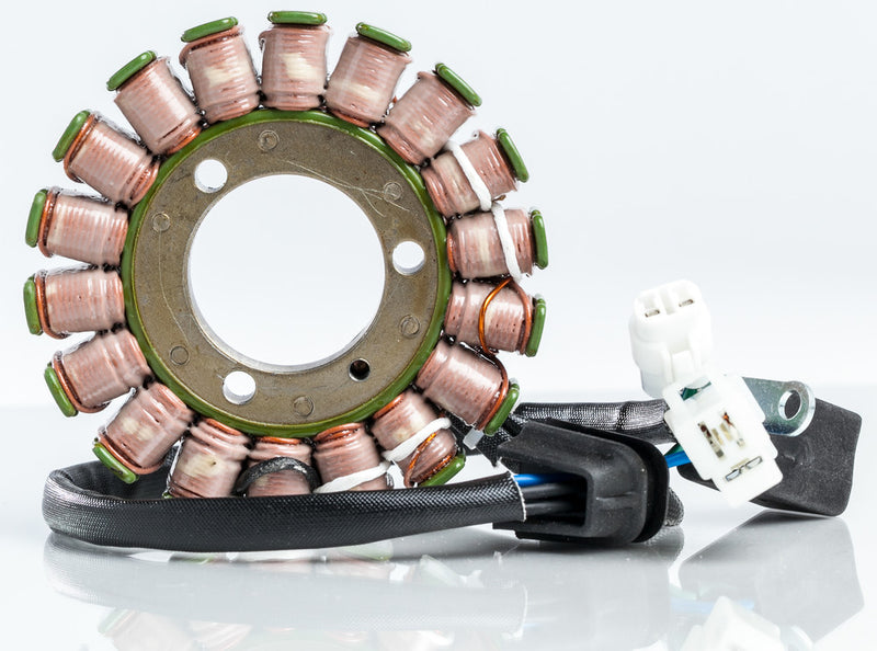 Rick's Motorsport Electric Stator - 21-821 Suzuki Ozark / 250 QuadSport 2002-2009