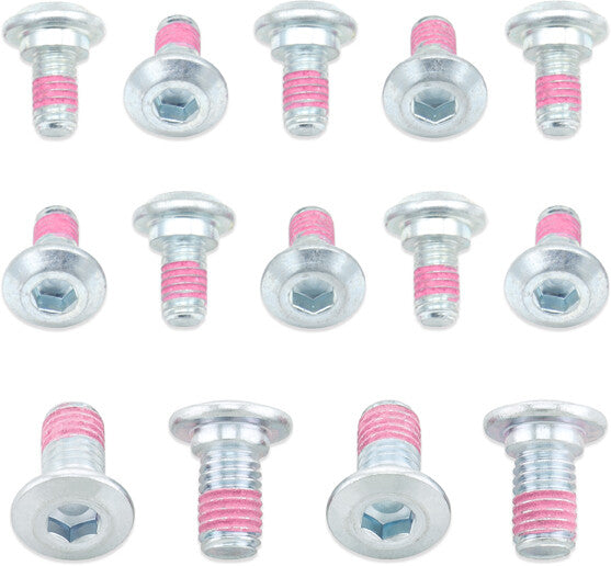Bolt Rotor Bolts - 2009-SKRTR For Kawasaki Dirt Bikes 2000-2026 | Suzuki RM 65 / RMZ 250 / RMZ 450 2003-2026