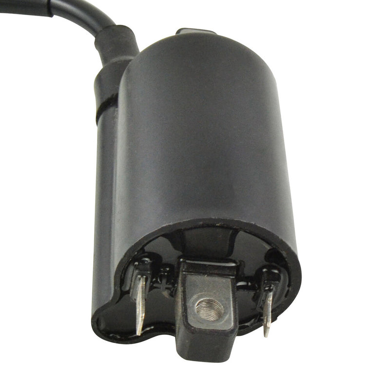 Rm Stator External Ignition Coil - RM06163 Kawasaki 300 Lakota / Lakota Utility / 300 Lakota Sport / Lakota Sport 1995-2003