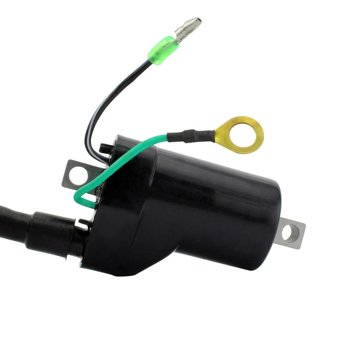Rm Stator 97-0054 RM06016 EXTERNAL IGNITION COIL W/SPARK PLUG CAP