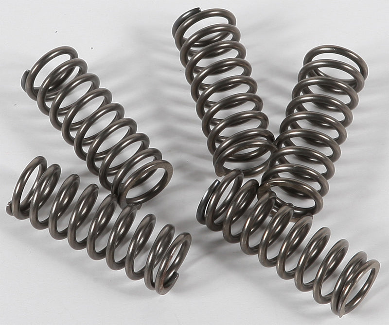 EBC Clutch Springs - CSK156 Suzuki 750 / 600 2000-2005