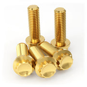 Titanium Brake Rotor Hardware Kit — photo 6