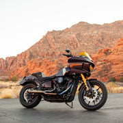 EOS Light Kit - With Denali Lighting (Low Rider ST) — photo 9