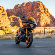 EOS Light Kit - With Denali Lighting (Low Rider ST) — photo 10