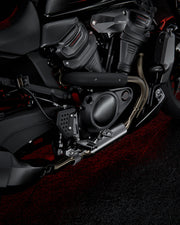 RECON Brake Lever (Pan America) — photo 7