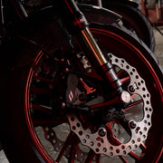 RTX8 Brake Caliper (Radial - 100mm) — photo 9