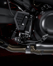 RECON Brake Lever (Pan America) — photo 5