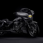 Ace-One Carbon Trim — photo 5
