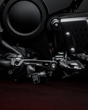 RECON Shift Lever (Pan America) — photo 5