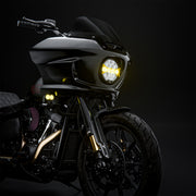 EOS Light Kit - With Denali Lighting (Low Rider ST) — photo 6