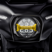 Ace-One Carbon Trim — photo 4