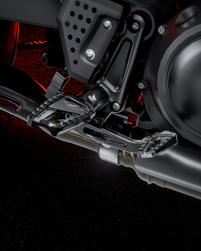 RECON Brake Lever (Pan America) — photo 4