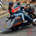Excalibur Detachable Sissybar / Backrest