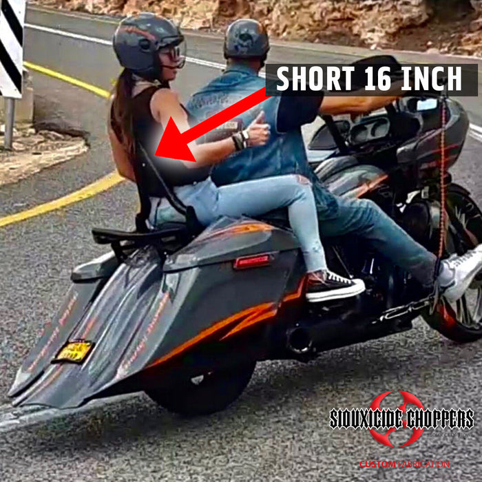 Excalibur Detachable Sissybar / Backrest