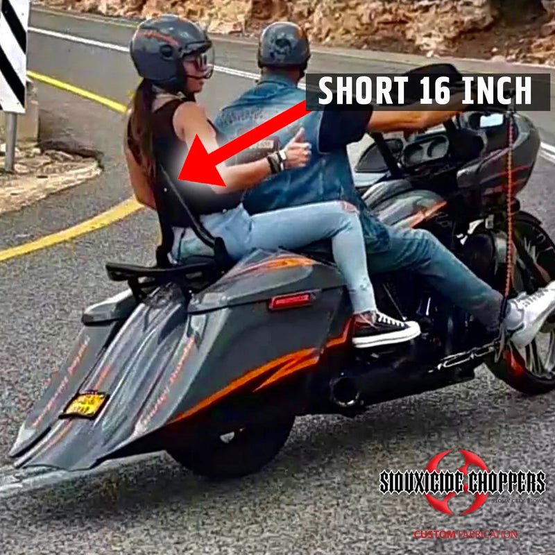 Excalibur Detachable Sissybar / Backrest