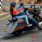 Excalibur Detachable Sissybar / Backrest
