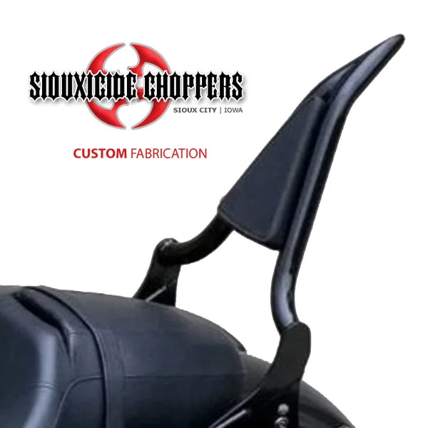 Excalibur Detachable Sissybar / Backrest