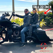 Excalibur Detachable Sissybar / Backrest